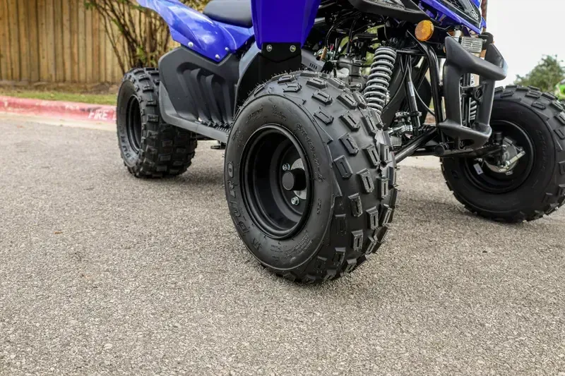 NEW 2026 YAMAHA RAPTOR 110 Image 19