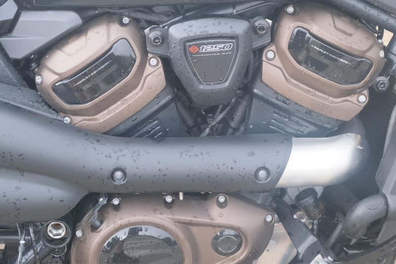 2024 HARLEY SPORTSTER S BLACK Image 13