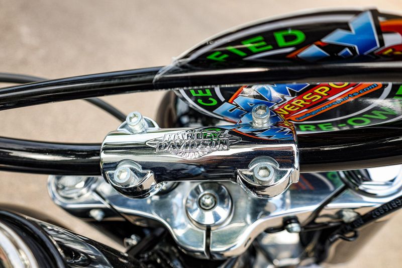 2020 HARLEY SOFTAIL SLIM Image 25