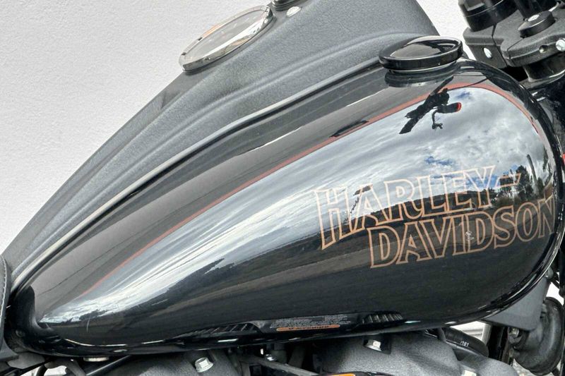 2021 Harley-Davidson SoftailImage 8