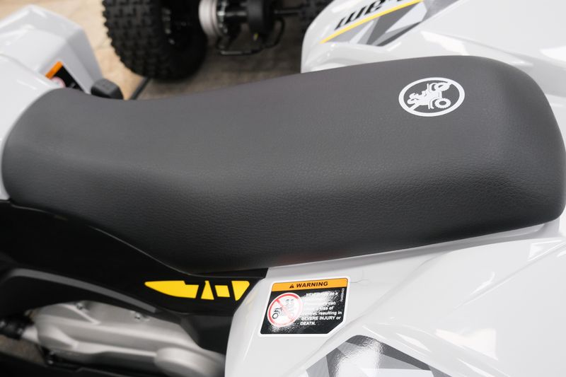 NEW 2026 CAN-AM RENEGADE 70 EFI Image 18