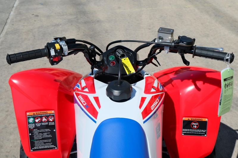 NEW 2026 HONDA TRX250X Image 16