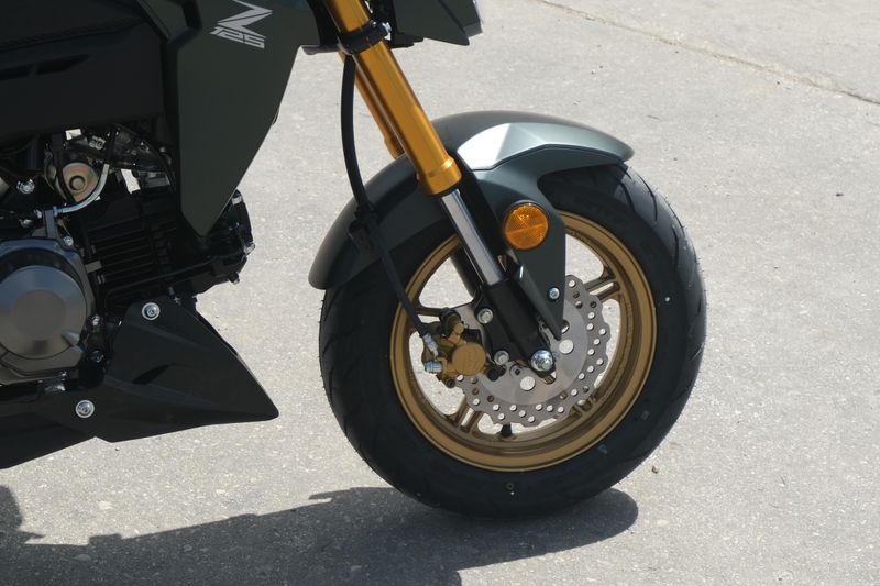 2025 Kawasaki Z125 PRO METALLIC MATTE OLD SCHOOL GREEN Image 16