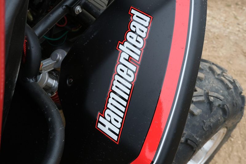 NEW 2025 HAMMERHEAD GTS PLATINUM Image 17