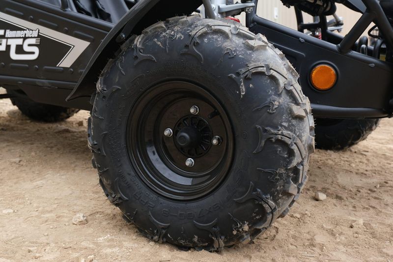 NEW 2026 HAMMERHEAD GTS 150 Image 12