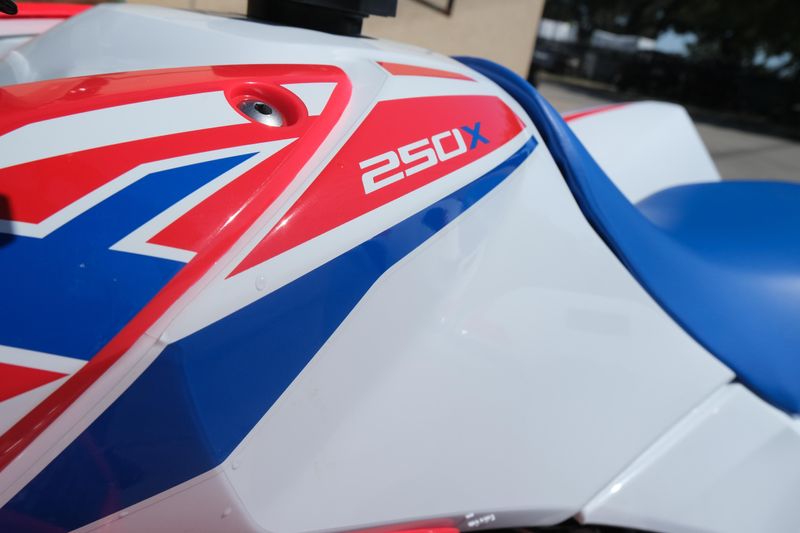 NEW 2026 HONDA TRX250X Image 13