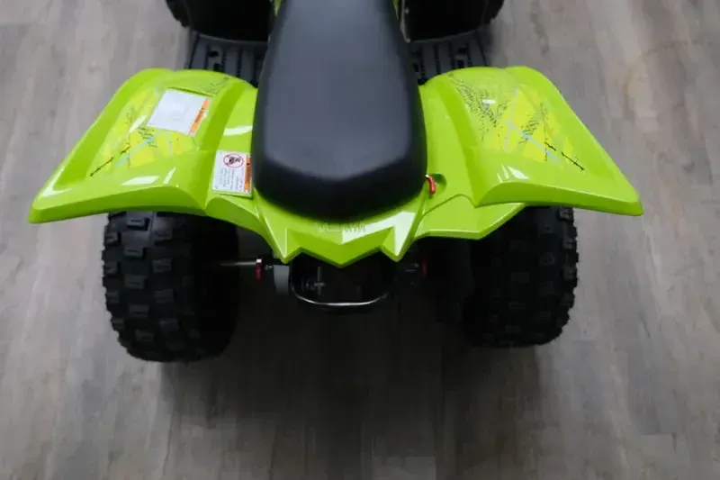 NEW 2026 YAMAHA RAPTOR 110 Image 14