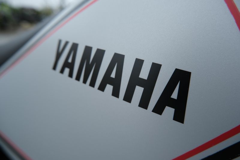 2025 Yamaha TW200 GALLANT GRAYImage 16