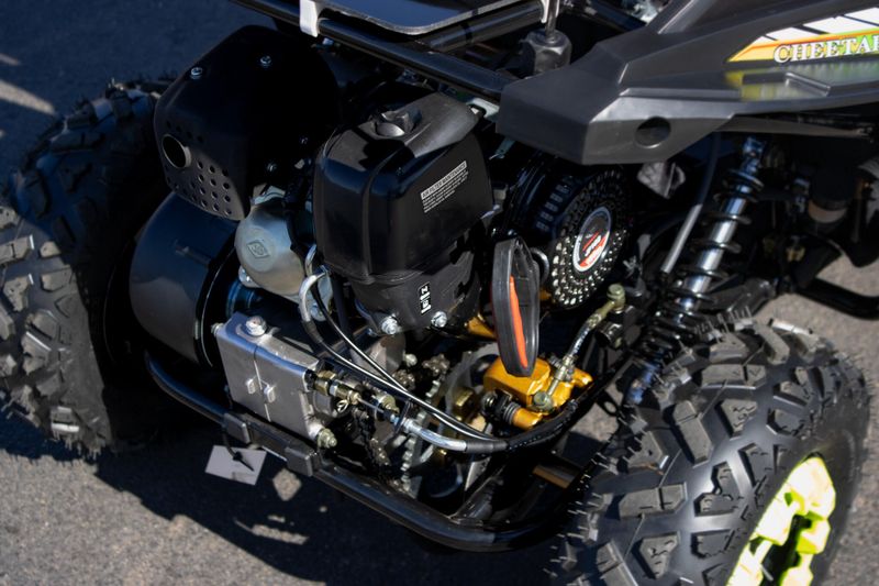 NEW 2025 TRAILMASTER CHEETAH 6 Image 10