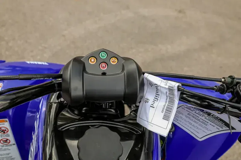 NEW 2026 YAMAHA RAPTOR 110 Image 8