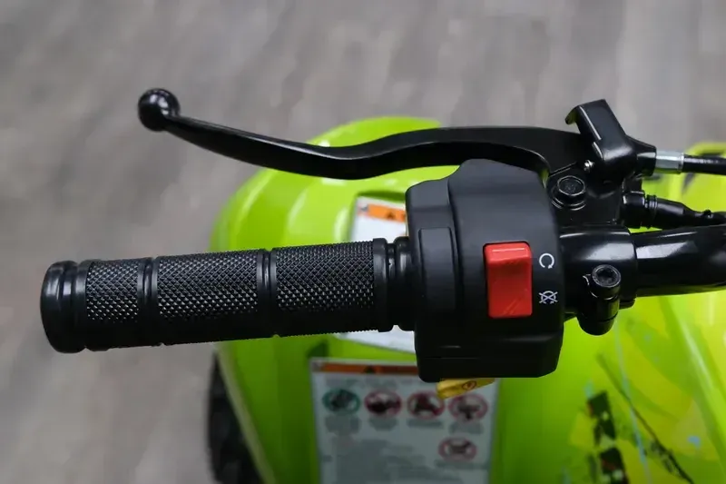 NEW 2026 YAMAHA RAPTOR 110 Image 21