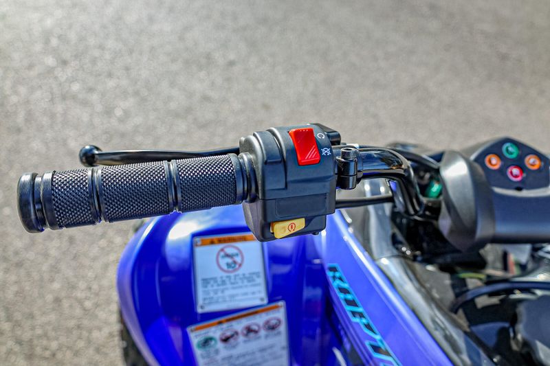 2025 Yamaha RAPTOR 110   TEAM BLUE Image 12