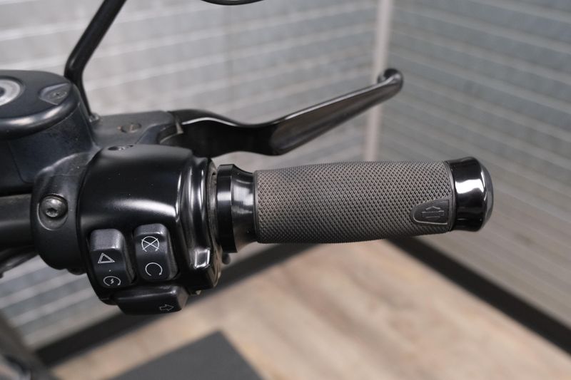 USED 2019 HARLEY SPORTSTER IRON 883 Image 17