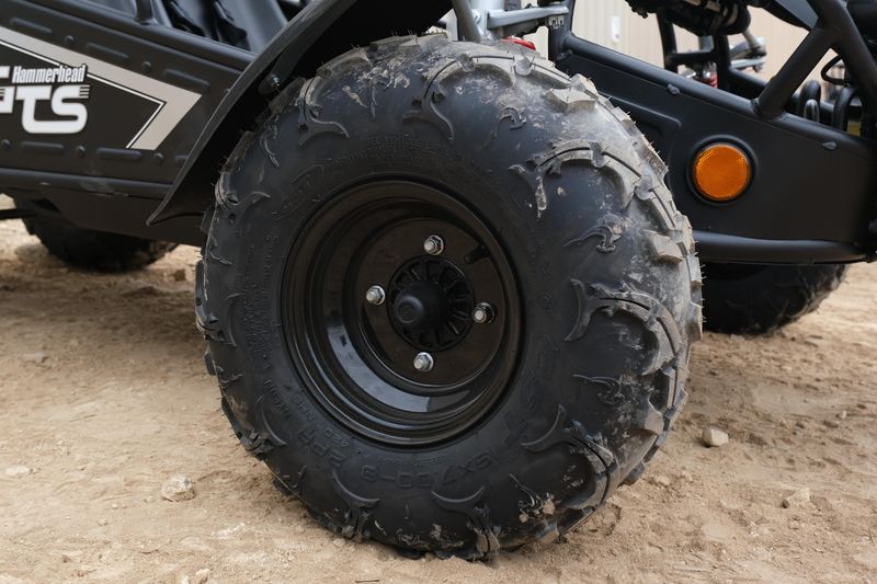 NEW 2025 HAMMERHEAD GTS 150 Image 15