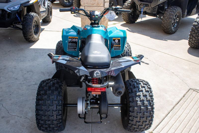 NEW 2026 CAN-AM RENEGADE 110 EFI Image 12