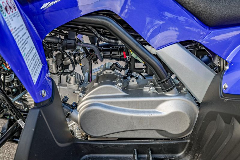2025 Yamaha RAPTOR 110   TEAM BLUE Image 6