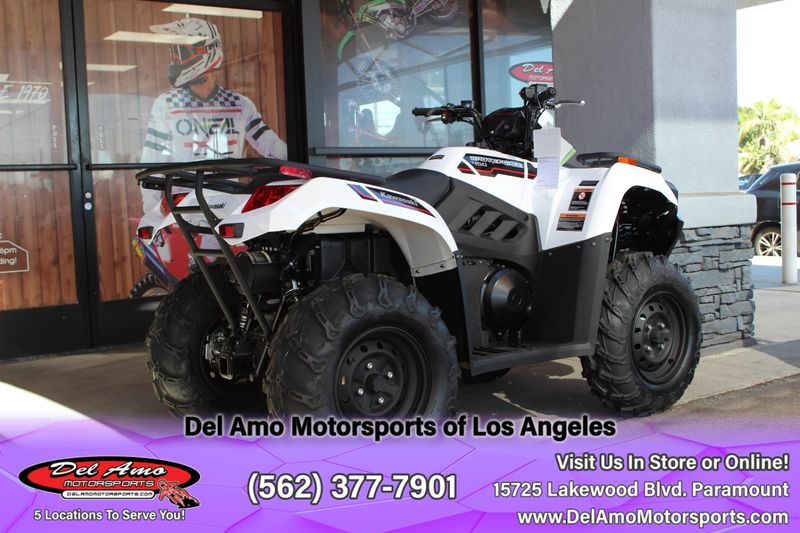 2025 Kawasaki BRUTE FORCE 450 4X4 Image 5
