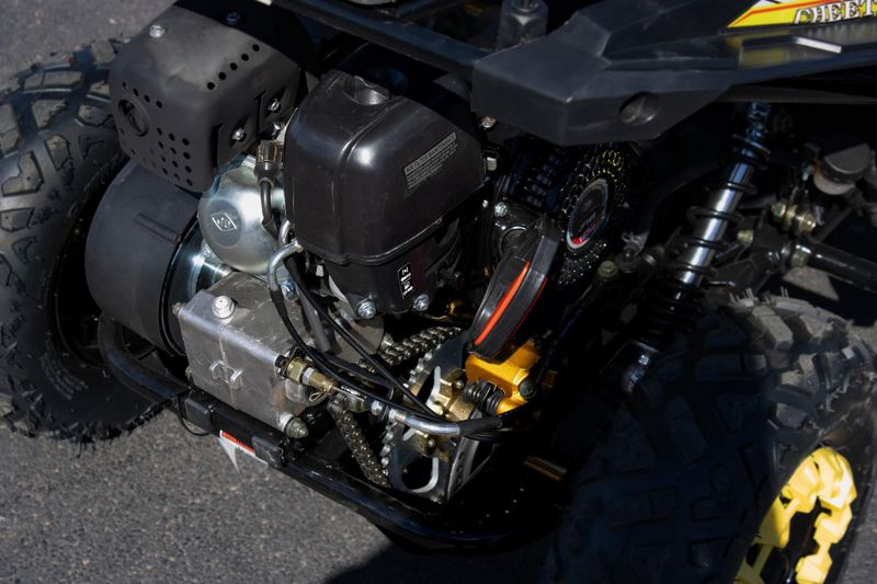 NEW 2025 TRAILMASTER CHEETAH 6 Image 10