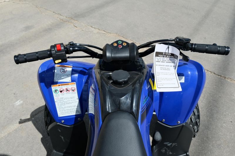 New 2025 Yamaha RAPTOR 110 TEAM BLUE Image 14