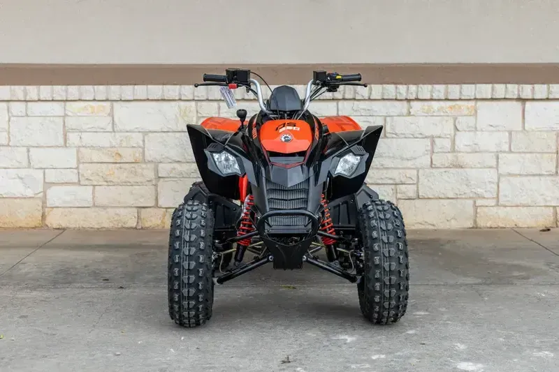 NEW 2026 CAN-AM DS 250 Image 7