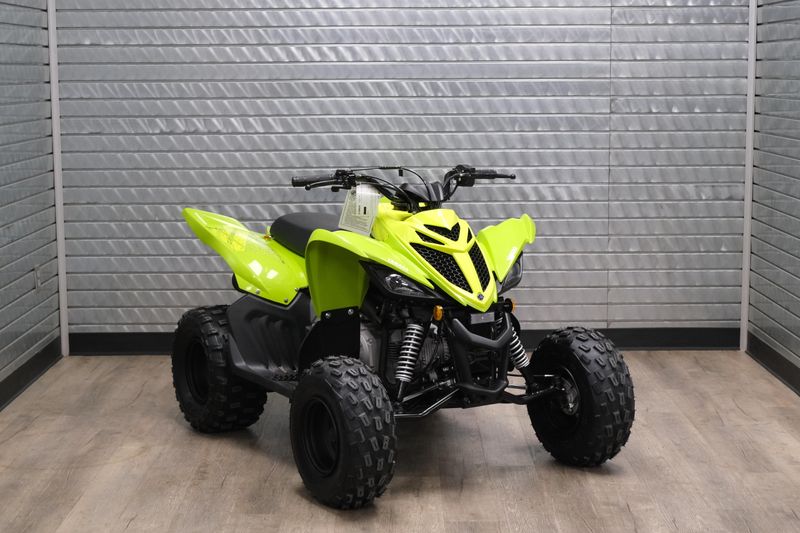NEW 2026 YAMAHA RAPTOR 110 Image 1