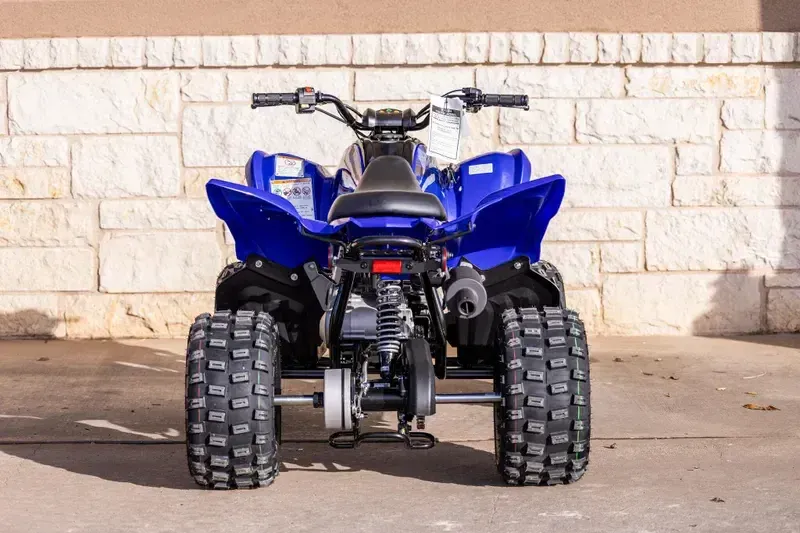 NEW 2026 YAMAHA RAPTOR 110 Image 11