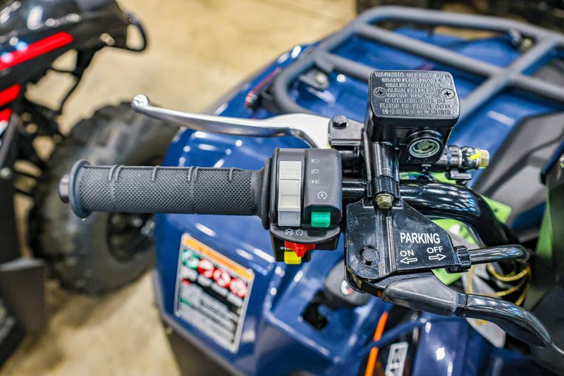 NEW 2025 KAWASAKI BRUTE FORCE 450 4X4 Image 2