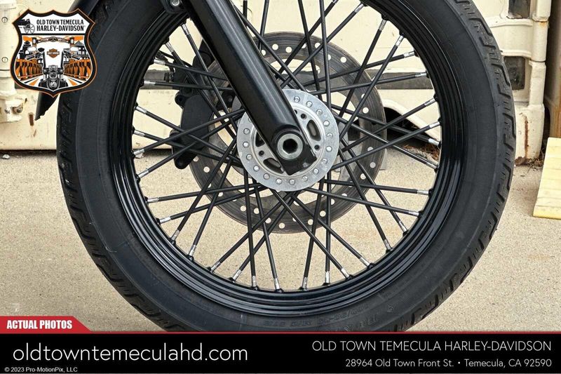 2020 Harley-Davidson Softail in a RIVER ROCK GRAY W/PINSTRIPE exterior color. BMW Motorcycles of Temecula – Southern California (951) 506-6903 bmwmotorcyclesoftemecula.com 