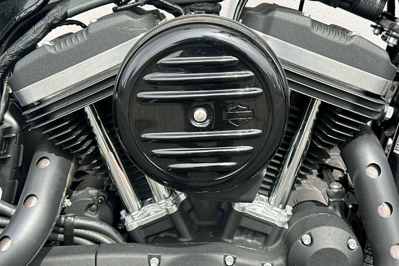 2021 Harley-Davidson SportsterImage 10