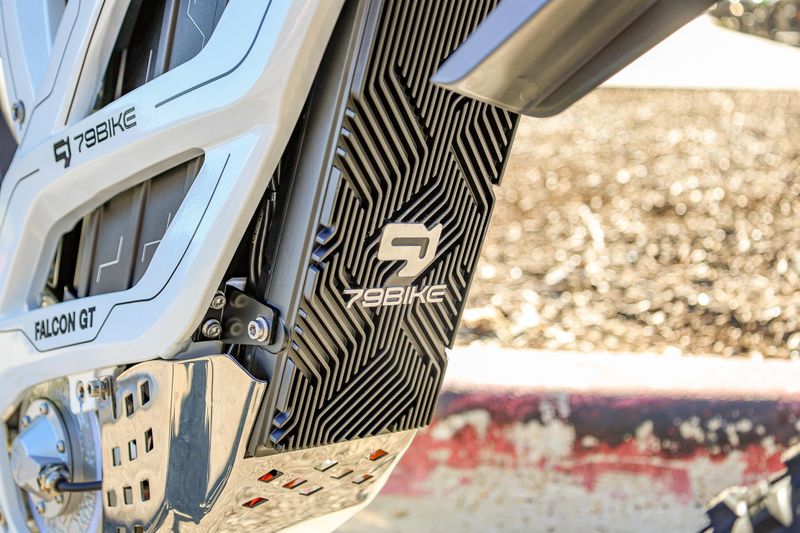 NEW 2025 79 BIKE FALCON GT Image 16
