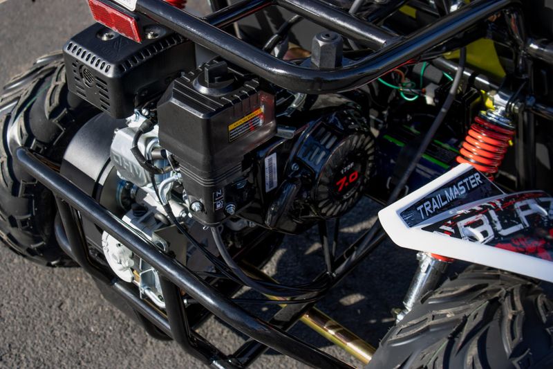 NEW 2025 TRAILMASTER BLAZER 200R Image 12