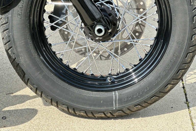 2017 Harley-Davidson SoftailImage 19