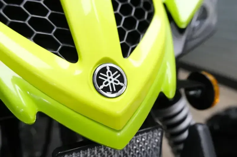 NEW 2026 YAMAHA RAPTOR 110 Image 12