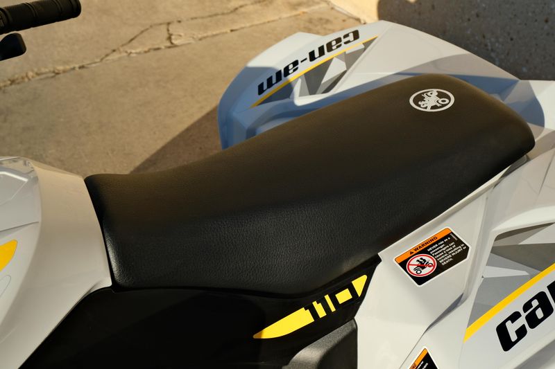 NEW 2026 CAN-AM RENEGADE 110 EFI Image 18