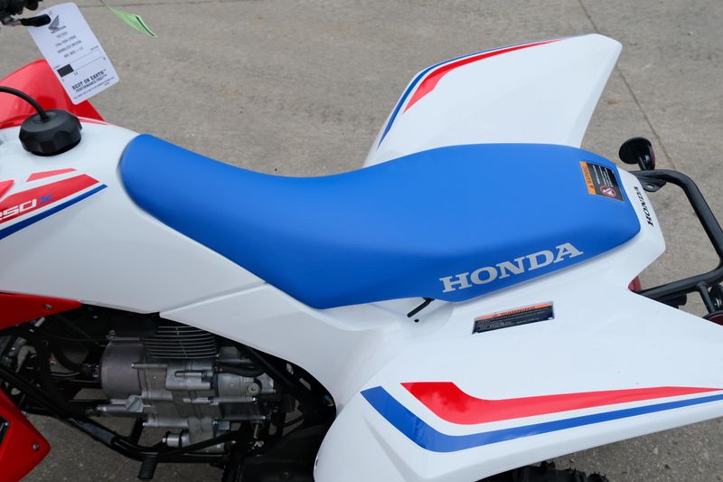 2025 Honda TRX250X RED Image 9