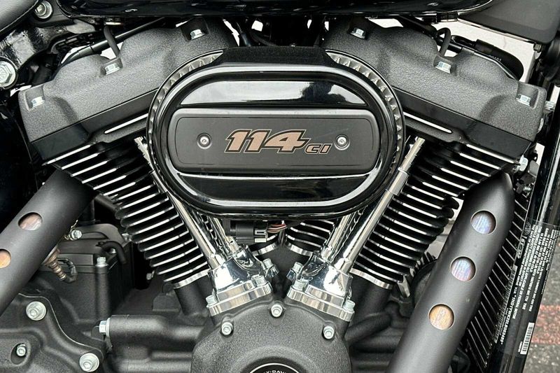 2020 Harley-Davidson SoftailImage 10