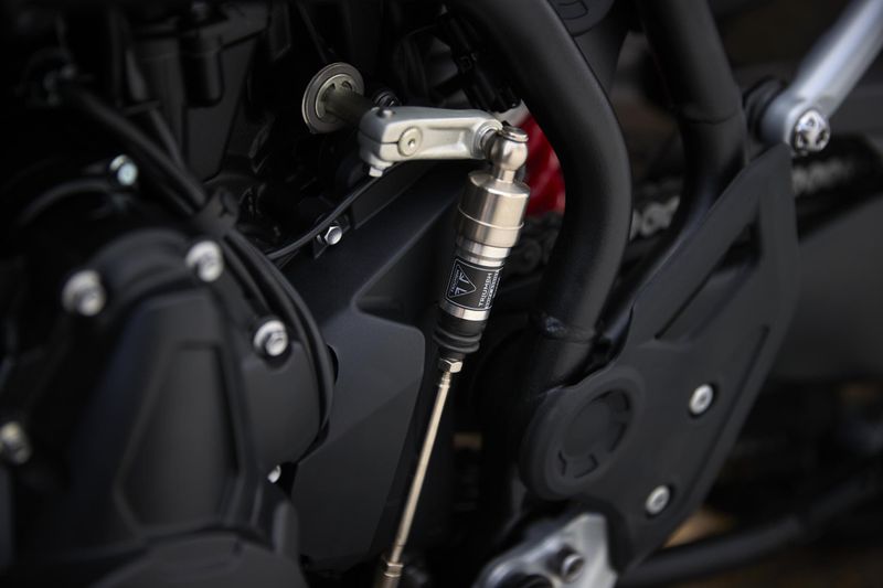 New 2026 Triumph TIGER 900 ALPINE EDITION 