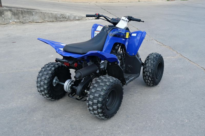 New 2025 Yamaha RAPTOR 110 TEAM BLUE Image 3