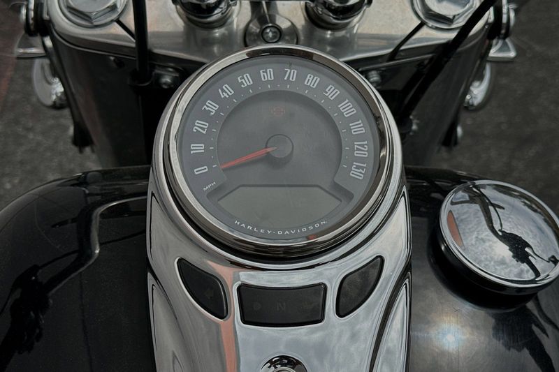 2022 Harley-Davidson SoftailImage 16