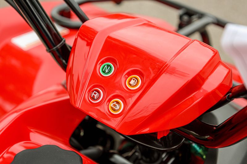 NEW 2025 YAMAHA GRIZZLY 110 Image 16