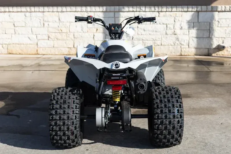 NEW 2026 CAN-AM RENEGADE 110 EFI Image 7