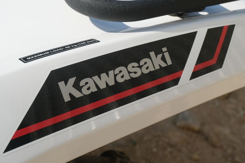 NEW 2025 KAWASAKI BRUTE FORCE 450 4X4 Image 12