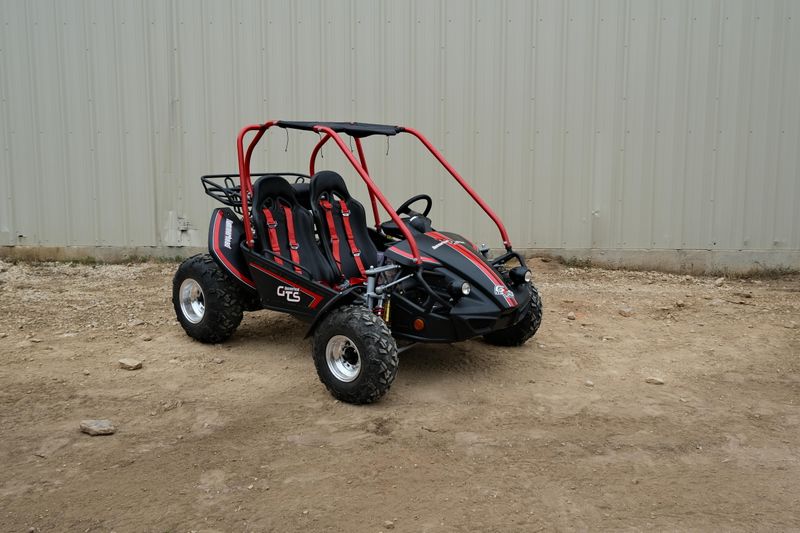 NEW 2025 HAMMERHEAD GTS PLATINUM Image 1