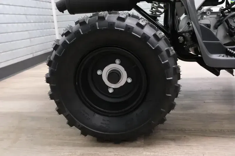 NEW 2026 YAMAHA RAPTOR 110 Image 23