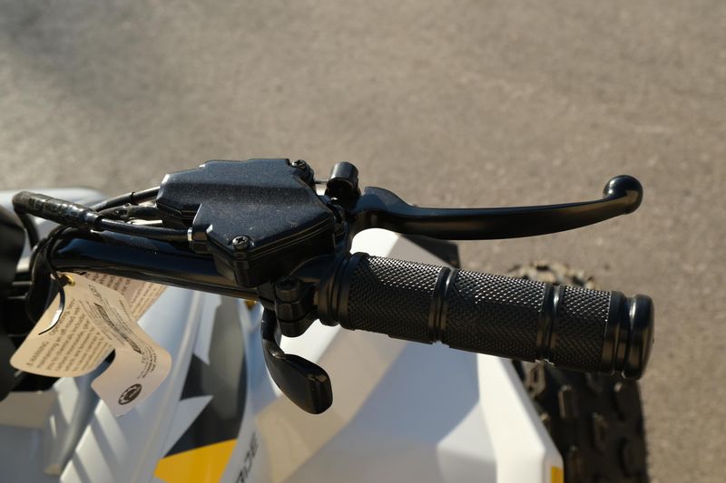 NEW 2026 CAN-AM RENEGADE 110 EFI Image 21