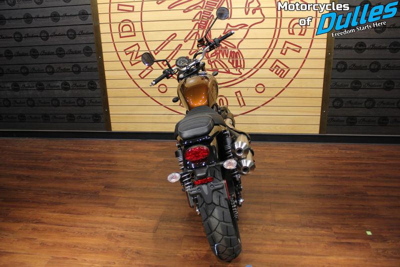 New 2024 Triumph Scrambler 900 Image 6