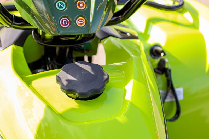 NEW 2026 YAMAHA GRIZZLY 110 Image 17