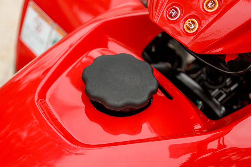 NEW 2025 YAMAHA GRIZZLY 110 Image 18