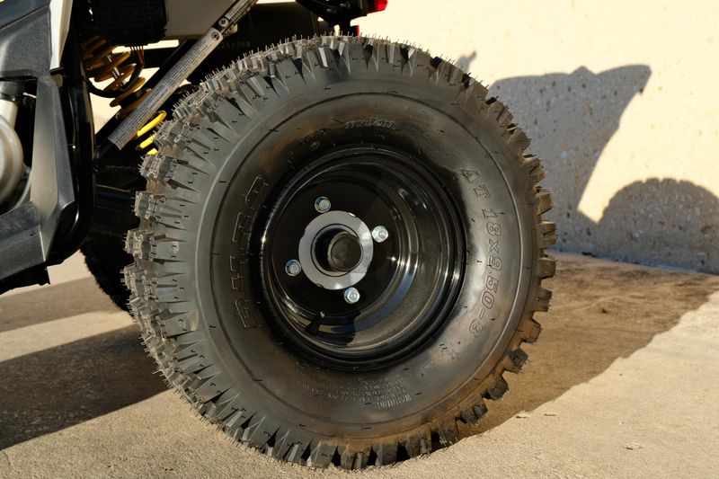 NEW 2026 CAN-AM RENEGADE 110 EFI Image 13