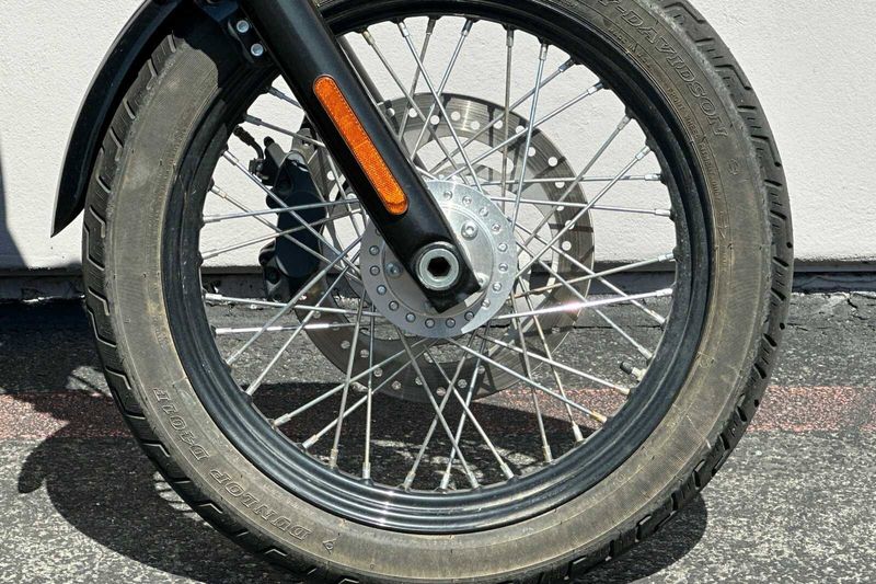 2021 Harley-Davidson SoftailImage 19